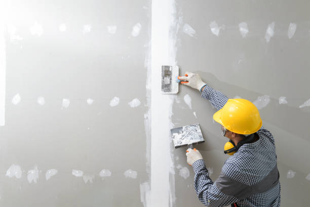 Biohazard Mold Removal in Oakwood Hills, IL